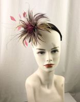 Merle Feather Headpiece