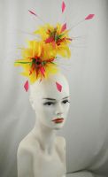 Parker Feather Headpiece